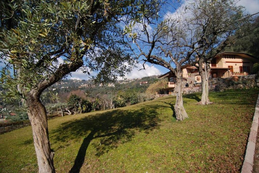 Conca Di Sopra Home Corsanico-Bargecchia Esterno foto