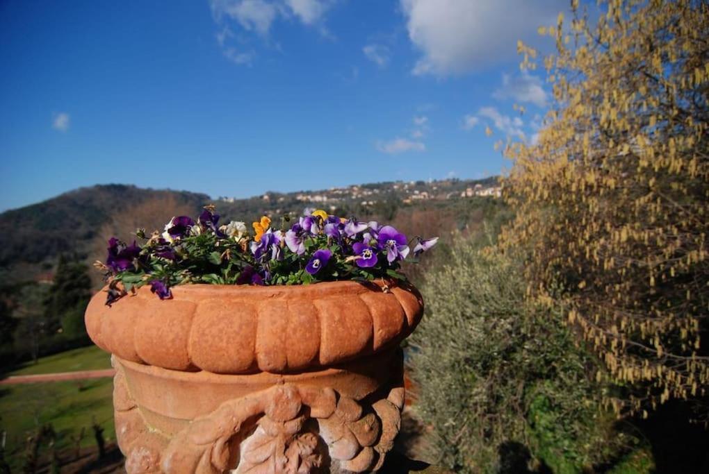 Conca Di Sopra Home Corsanico-Bargecchia Esterno foto