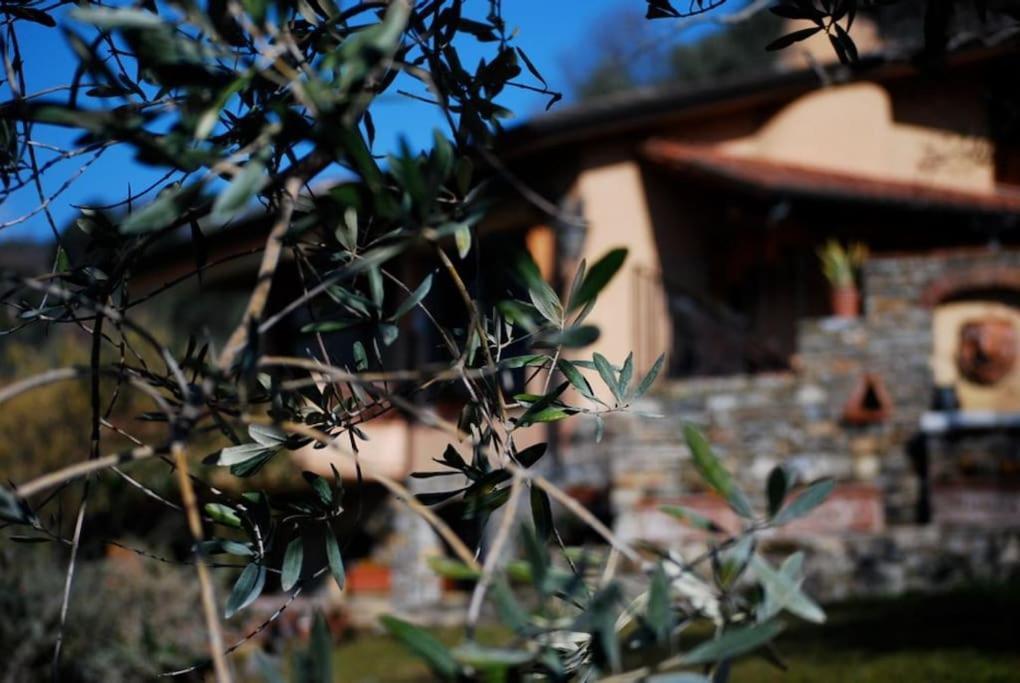 Conca Di Sopra Home Corsanico-Bargecchia Esterno foto